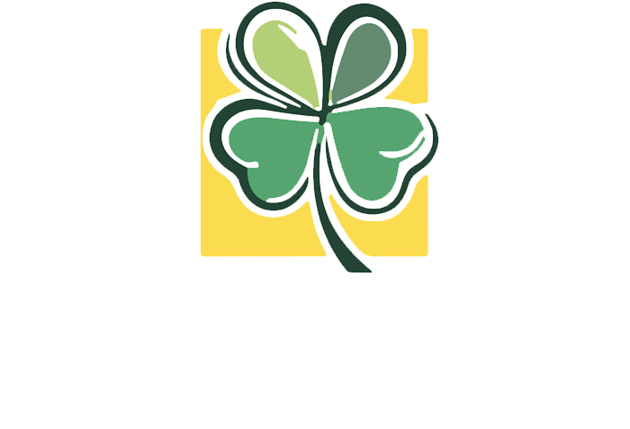shamrock paving & landscaping